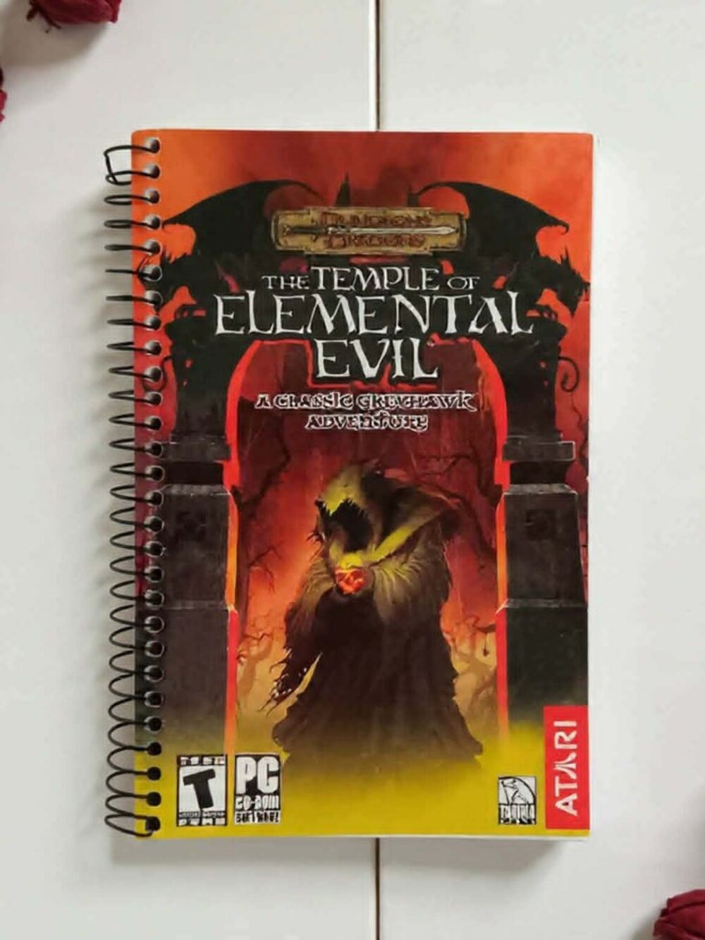 Manual For Dungeons & Dragons The Temple Of Elemental Evil PC Game MANUAL ONLY